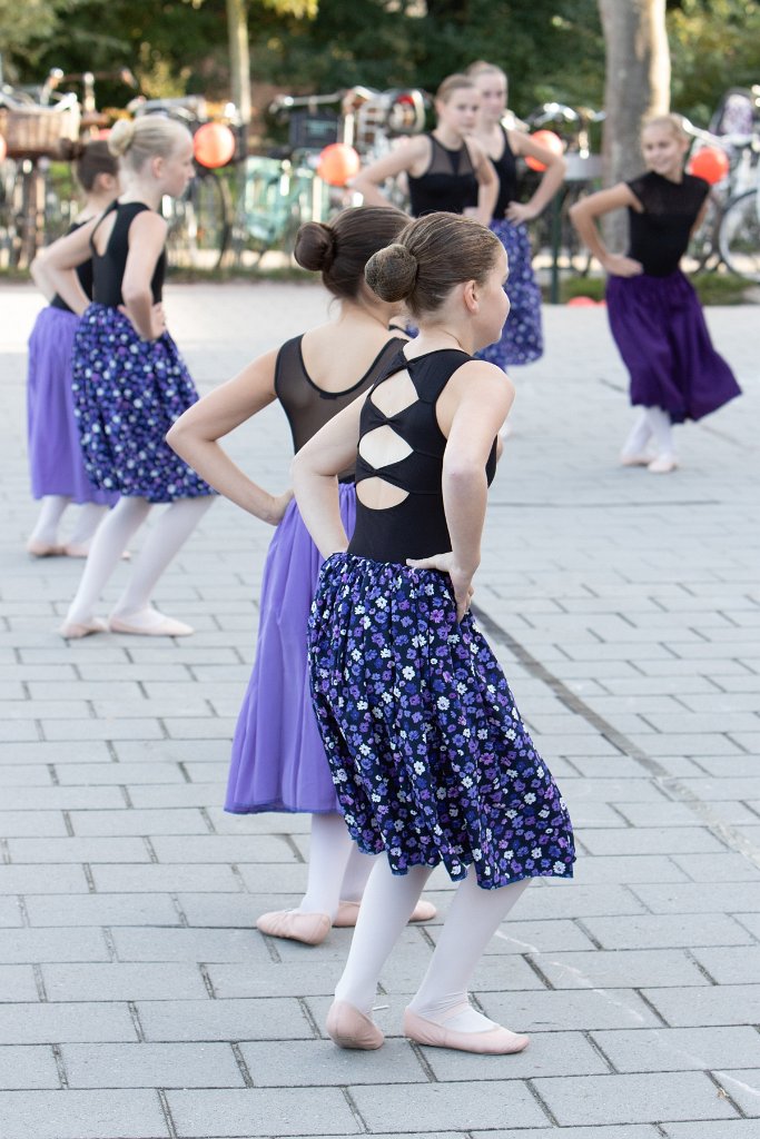 Schoolplein Festival A076.jpg